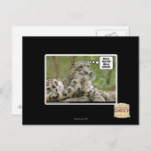 Warum finden Hunde das so schwierig? Postkarte (Vorne/Hinten)