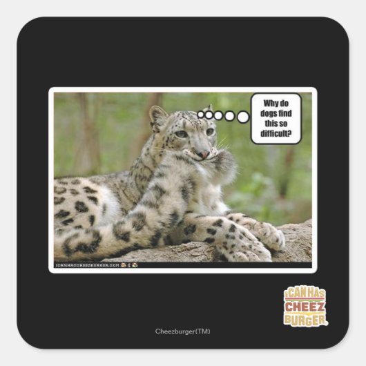 Warum finden Hunde das so schwierig? Quadratischer Aufkleber (Vorderseite)