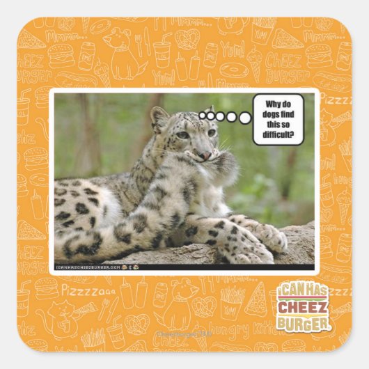 Warum finden Hunde das so schwierig? Quadratischer Aufkleber (Vorderseite)