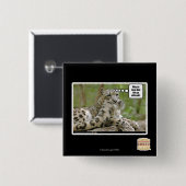 Warum finden Hunde dieses so schwierig? Button (Vorne & Hinten)