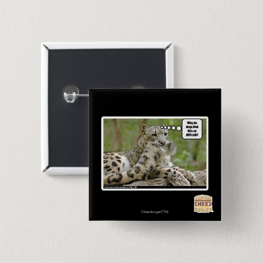 Warum finden Hunde dieses so schwierig? Button (Vorne & Hinten)