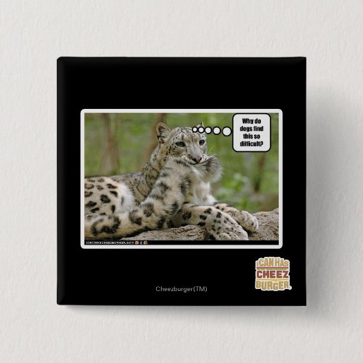 Warum finden Hunde dieses so schwierig? Button (Vorderseite)