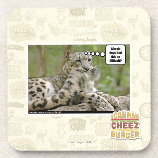 Warum finden Hunde dieses so schwierig? Getränkeuntersetzer (Vorderseite)