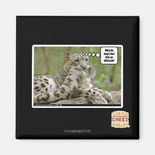 Warum finden Hunde dieses so schwierig? Magnet