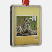 Warum finden Hunde dieses so schwierig? Ornament Aus Metall (Rechts)