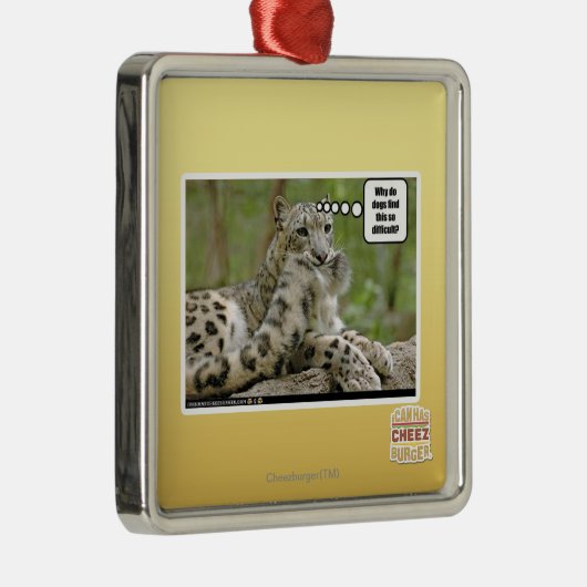 Warum finden Hunde dieses so schwierig? Ornament Aus Metall (Rechts)