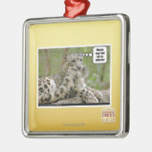 Warum finden Hunde dieses so schwierig? Ornament Aus Metall (Links)