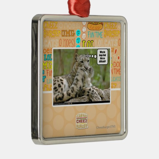 Warum finden Hunde dieses so schwierig? Silbernes Ornament (Rechts)