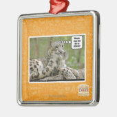 Warum finden Hunde dieses so schwierig? Silbernes Ornament (Links)