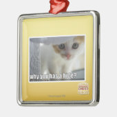 Warum haben Sie ein Fell? Ornament Aus Metall (Links)