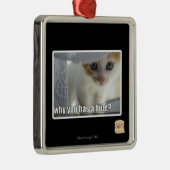 Warum haben Sie ein Fell? Silbernes Ornament (Rechts)