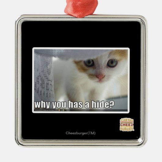 Warum haben Sie ein Fell? Silbernes Ornament (Vorne)