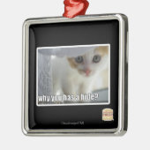 Warum haben Sie ein Fell? Silbernes Ornament (Links)