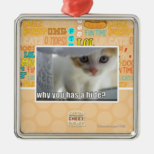 Warum haben Sie ein Fell? Silbernes Ornament (Vorne)