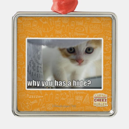 Warum haben Sie ein Fell? Silbernes Ornament (Vorne)