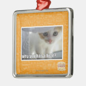 Warum haben Sie ein Fell? Silbernes Ornament (Links)