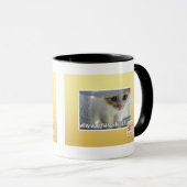 Warum haben Sie ein Fell? Tasse (VorderseiteRechts)