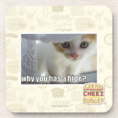 Warum haben Sie ein Fell? Untersetzer (Vorderseite)