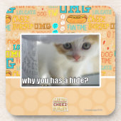 Warum haben Sie ein Fell? Untersetzer (Vorderseite)