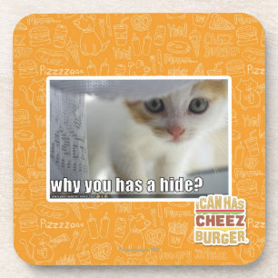 Warum haben Sie ein Fell? Untersetzer