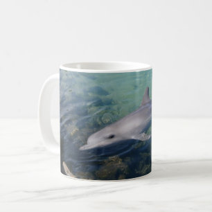 Warum hallo Dolphin, Tasse des Kaffees