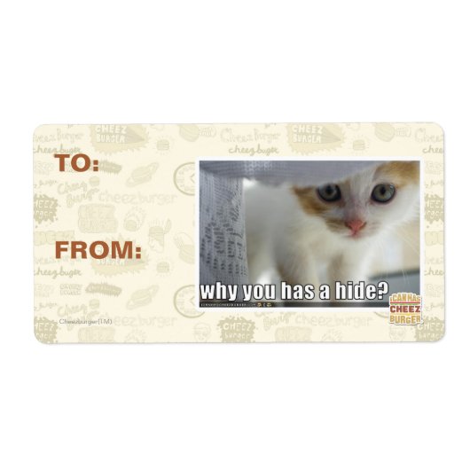 Warum hast du ein Versteck? (Vorne)