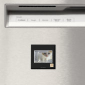 Warum hast du ein Versteck? Magnet (In Situ (Geschirrspüler))