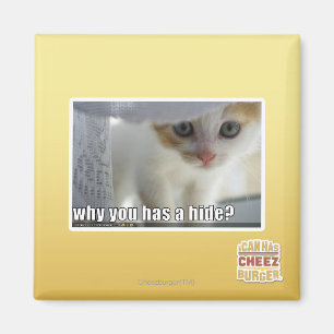 Warum hast du ein Versteck? Magnet