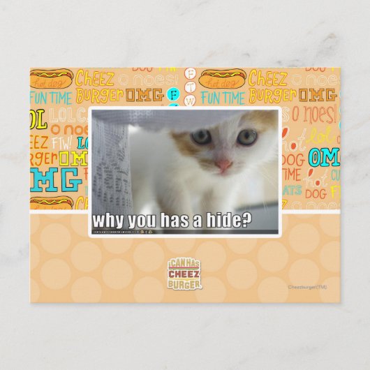 Warum hast du ein Versteck? Postkarte (Vorderseite)