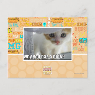 Warum hast du ein Versteck? Postkarte