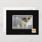 Warum hast du ein Versteck? Postkarte (Vorne/Hinten)
