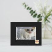 Warum hast du ein Versteck? Postkarte (Stehend Vorderseite)