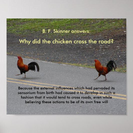 Warum hat das Hühnerkreuz? - (kleines) Poster (Vorne)