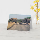 Warum hat der Elefant die Straße überquert? (1) Karte (Gelbe Blume)