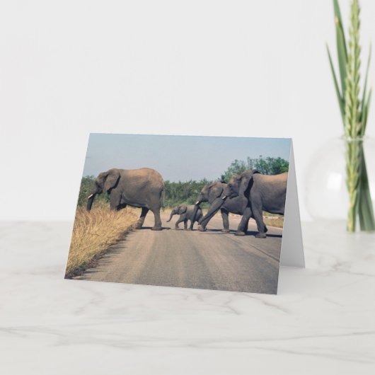 Warum hat der Elefant die Straße überquert? (1) Karte (Vorderseite)