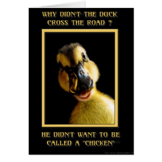 Warum hat die Ente nicht die Straße überquert?