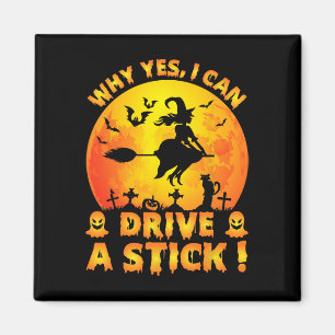 Warum ja, ich kann tatsächlich ein Stick Funny Hal Magnet