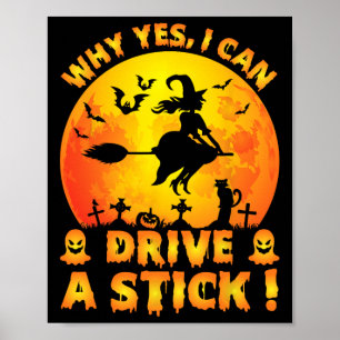 Warum ja, ich kann tatsächlich ein Stick Funny Hal Poster