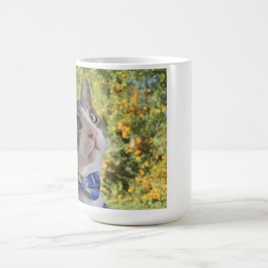 Warum Kaffeetasse (Mittel)