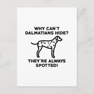 Warum können sich Dalmatiner nicht verstecken? Postkarte
