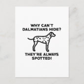 Warum können sich Dalmatiner nicht verstecken? Postkarte (Vorderseite)