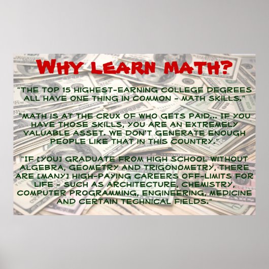 "Warum Mathematik lernen?" Poster (Vorne)