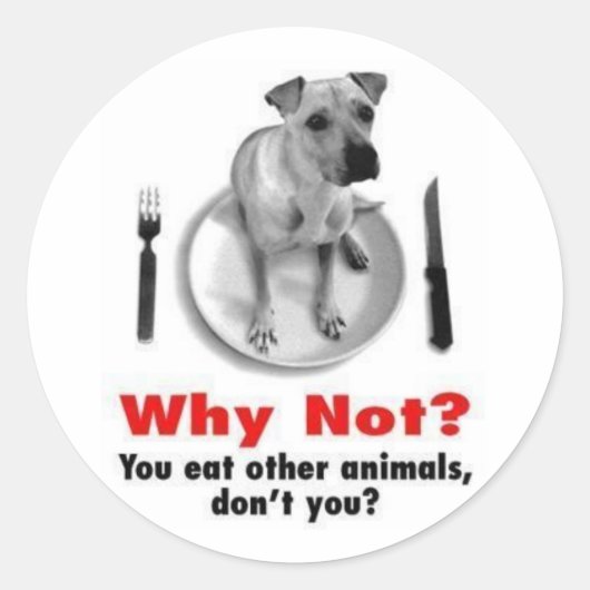 Warum nicht? (Aufkleberversion) Runder Aufkleber (Vorderseite)