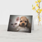 Warum nicht wir Freund-Gruß-Karte sein können Karte (Gelbe Blume)