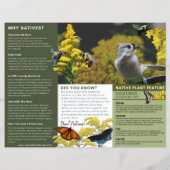 Warum Pflanze Natives Goldenrod Green Thema Flyer (Hinten)