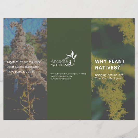 Warum Pflanze Natives Goldenrod Green Thema Flyer (Vorne)