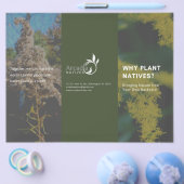 Warum Pflanze Natives Goldenrod Green Thema Flyer (Einzeln)