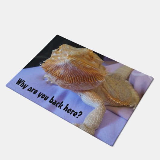 Warum Sie zurück hier unglaublich witzig Beardie Fußmatte (Schrägansicht)