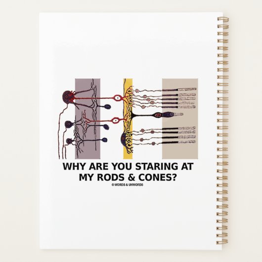 Warum starrst du an meinen Rods & Cones? Planer (Rückseite)