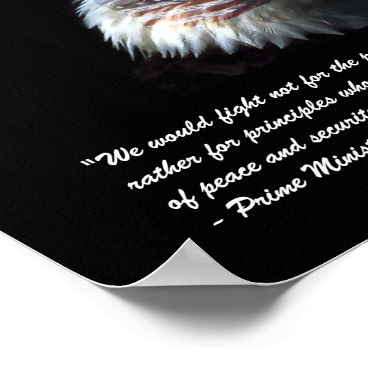 Warum wir kämpfen poster (Ecke)